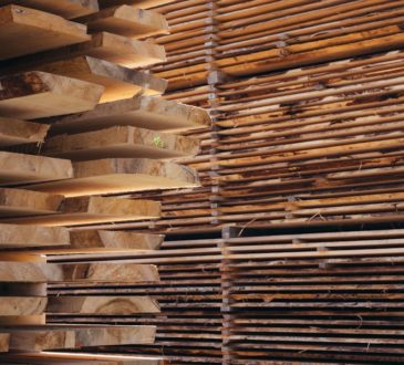 Photo Planches en bois