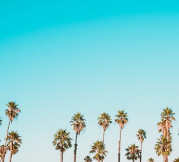 Photo Transpondeurs de patinage de vitesse