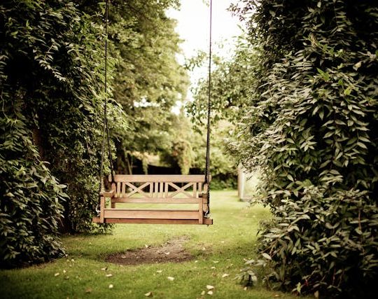 Waarom je nu al begint met het tuinontwerp voor je nieuwe tuin